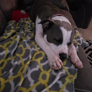 Meet your Posher, Allison